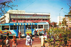 самарский-блог2