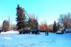 IMG_20201214_131037-копия
