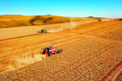 убоочная_DJI_0136_2_97x65_makeup