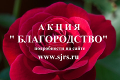 Благородство