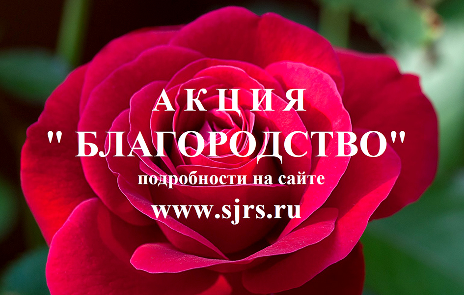 Благородство-1