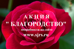 Благородство-1